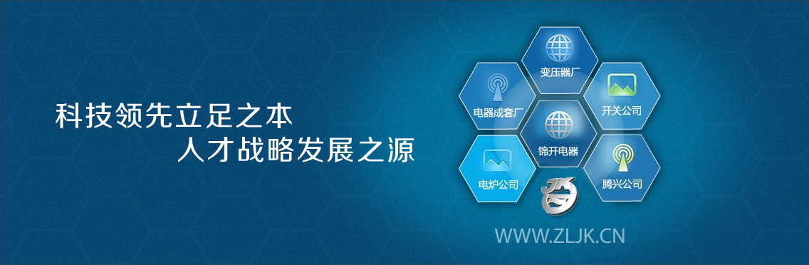 中國(guó)政府采購(gòu)招標(biāo)網(wǎng)